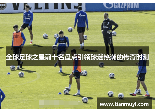 全球足球之星前十名盘点引领球迷热潮的传奇时刻