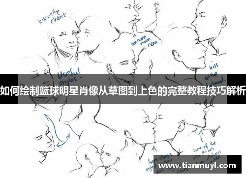 如何绘制篮球明星肖像从草图到上色的完整教程技巧解析